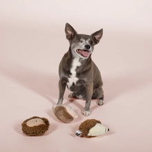 Cargar imagen en el visor de la galería, 3-Pack Puercoespín