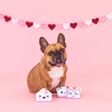 Cargar imagen en el visor de la galería, 3-Pack Cartas