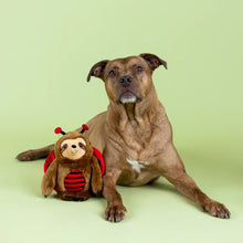 Cargar imagen en el visor de la galería, Perezoso Catarina