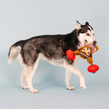 Cargar imagen en el visor de la galería, Perezoso Gym