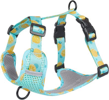 Cargar imagen en el visor de la galería, Pechera Limones