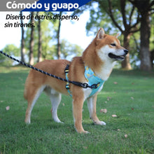 Cargar imagen en el visor de la galería, Pechera Limones