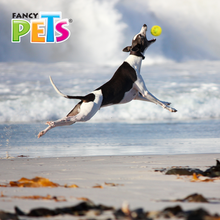 Cargar imagen en el visor de la galería, Geobola Chew