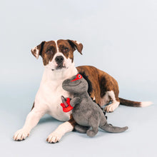 Cargar imagen en el visor de la galería, Rex Rockero