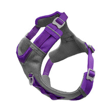 Cargar imagen en el visor de la galería, Journey AIR Dog Harness de Kurgo - Morado