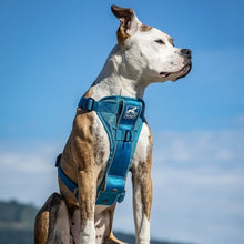 Cargar imagen en el visor de la galería, Pechera Azul para Perros para Que Viaje Seguro - Tru-Fit Smart Harness de Kurgo