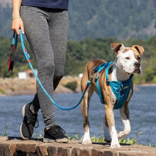 Cargar imagen en el visor de la galería, Pechera Azul para Perros para Que Viaje Seguro - Tru-Fit Smart Harness de Kurgo