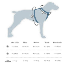 Cargar imagen en el visor de la galería, Pechera Azul para Perros para Que Viaje Seguro - Tru-Fit Smart Harness de Kurgo