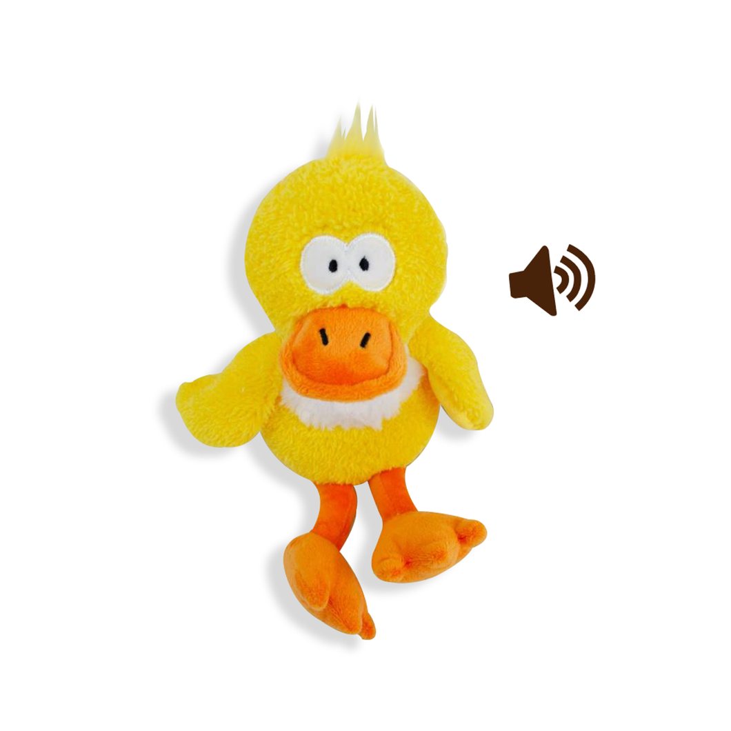 Pato