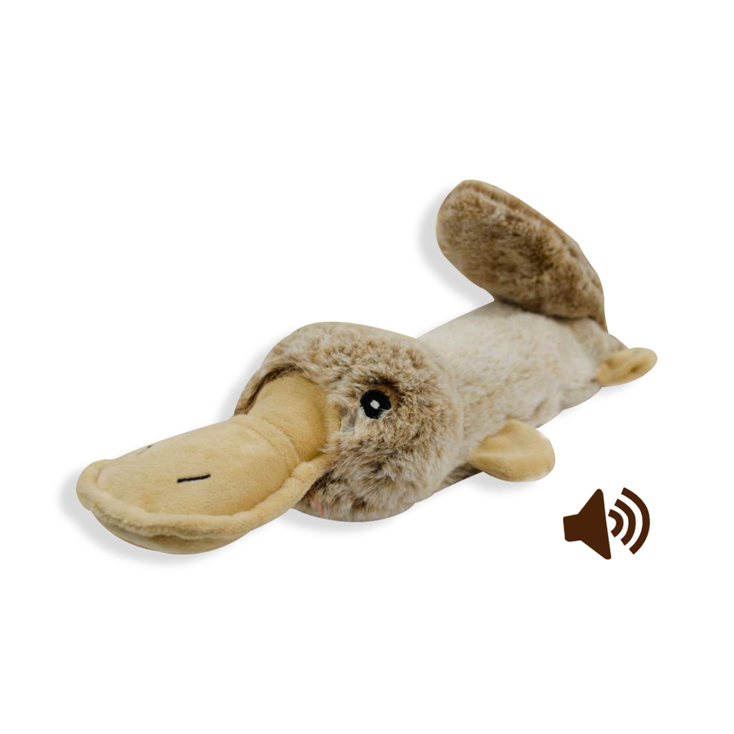 Ornitorrinco