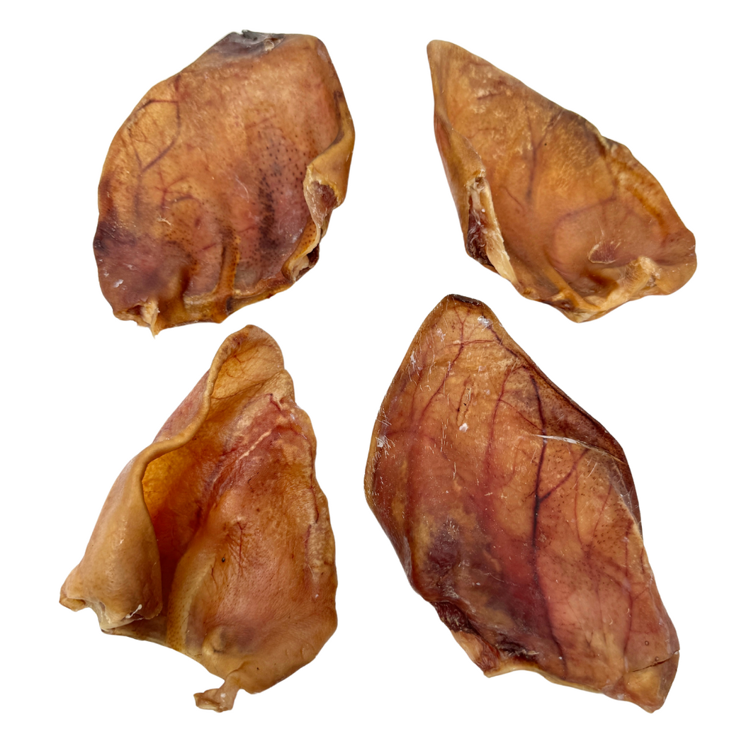 Oreja de Cerdo