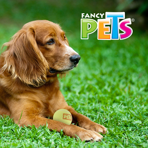Pelotas de Tenis Chicas 3 pz