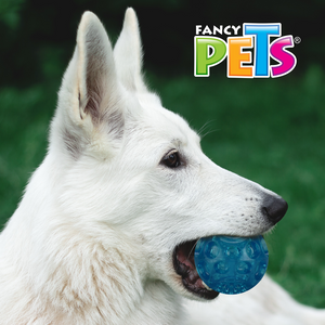 Pelota Flexible con Sonido