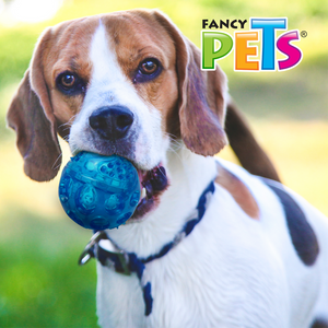 Pelota Flexible con Sonido