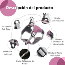 Cargar imagen en el visor de la galería, Pechera Morada
