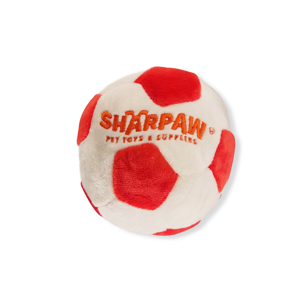 Balón de Soccer