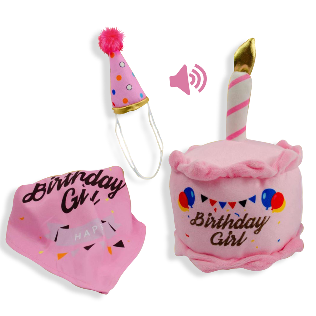 Kit de Cumpleaños Rosa