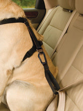 Cargar imagen en el visor de la galería, Pechera Azul para Perros para Que Viaje Seguro - Tru-Fit Smart Harness de Kurgo
