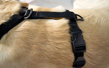 Cargar imagen en el visor de la galería, Pechera Azul para Perros para Que Viaje Seguro - Tru-Fit Smart Harness de Kurgo
