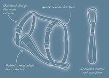 Cargar imagen en el visor de la galería, Pechera Azul para Perros para Que Viaje Seguro - Tru-Fit Smart Harness de Kurgo
