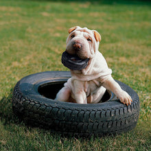Cargar imagen en el visor de la galería, Traxx Tires
